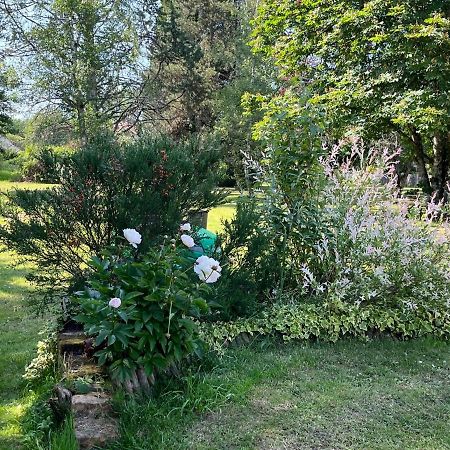 Gites Chambres D'Hotes Entre Terre & Mer Souvigny-en-Sologne Esterno foto