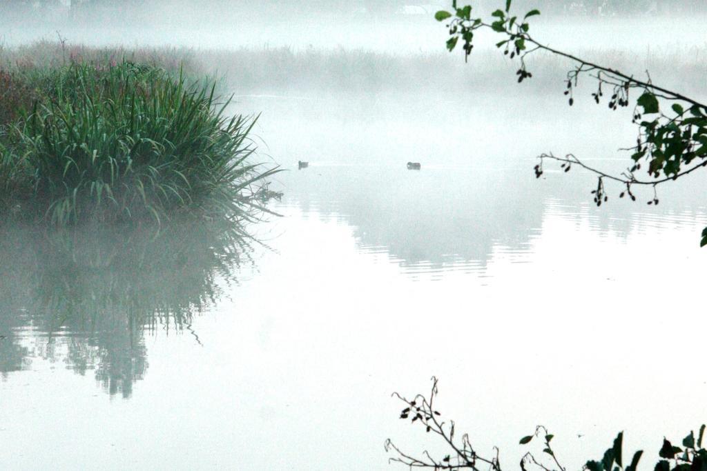 Gites Chambres D'Hotes Entre Terre & Mer Souvigny-en-Sologne Esterno foto